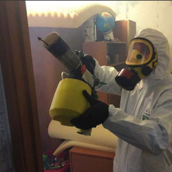 Уничтожение клопов в квартире. Горнозаводск